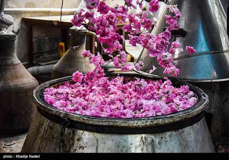 قیمت خرید گلاب کرمان + فروش ویژه